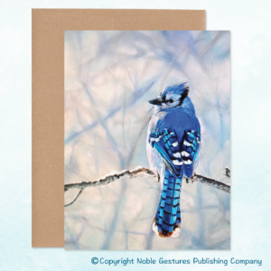 Blue Jay Note Card front